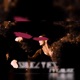 Soul Ties feat Elouise Single