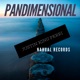 Pandimensional Single