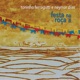 Festa na Roça II