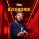DZIGBORDI Single