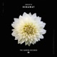 Runaway Single