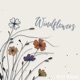 Windflowers Single