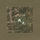 Snowdrop Single