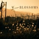 Blossoms EP