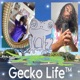 Gecko Life feat capital Single