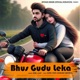 Bhus Gudu Leka feat Ajay Single