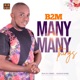 Many Many Things feat Fiokee Single