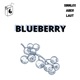 BLUEBERRY Single