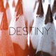 Destiny Single