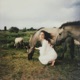 Hold your Horses Single