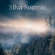 Silva Somnia