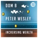 Increasing Wealth Single