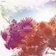 Sunflower Single
