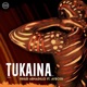 Tukaina feat Ayrosh Single