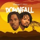 Downfall feat Fameye Single