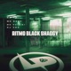 Ritmo Black Shaggy feat DJ VDC Single