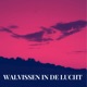 Walvissen In De Lucht Single
