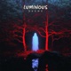 Luminous Single