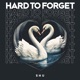 Hard To Forget Single