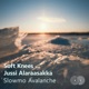 Slowmo Avalanche feat Jussi Alaraasakka Single