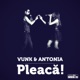 Pleacă Single