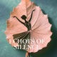Echoes of Silence Single