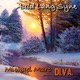 Auld Lang Syne feat Di Va Single