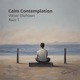 Calm Contemplation Single