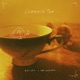 Camomile Tea Single