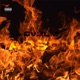 Arson Single