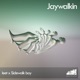Jaywalkin Single
