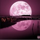 Revised by the Pink Moon