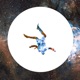 Freefalling Single