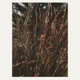 Daydream Single