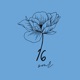 16 Single