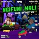 Ngifuni Mali feat Wara Scott Single