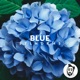 Blue Single