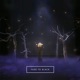 Fade to Black Single