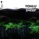 Sheep Single
