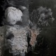 Aequorin Remix EP