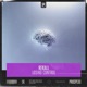 Losing Control Single