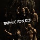 TENTANDO FICAR RICO feat TRAP MACHINE Single