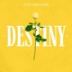 DESTINY Single
