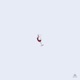 Without You Single