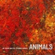 Animals Single