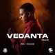 Vedanta I love it Single