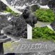 Depression Single