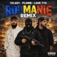 ROUMANIE feat 1VLAD1 LAUR TYS Single