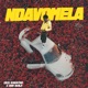 Ndavomela Single