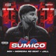 Chá de Sumiço feat Mih Jall Single